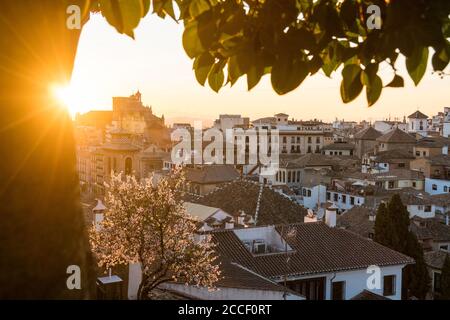 Granada (Spanien), Mirador de la Churra, Blick auf den Stadtteil Albaicin, Baumblüten, Sonnenstrahlen Stockfoto