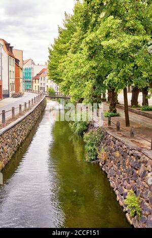 Stadtkanal mit Häusern und Bäumen in der Altstadt von Wismar gesäumt. Stockfoto