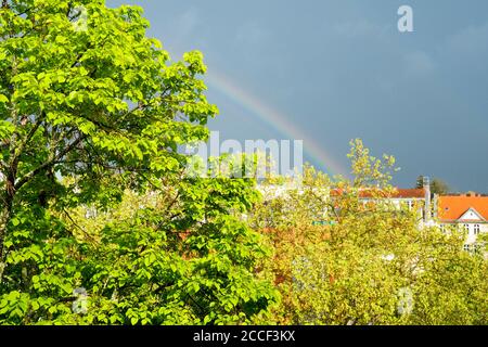 Berlin, Straße, Obergeschoss, Linden, Platane, Regenbogen Stockfoto