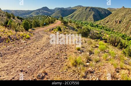 Eine Straße, die hinunter zur alten Stewart Ranch entlang des Verde River in der Upper Verde River Wildlife Area in der Nähe von Paulden AZ führt. Die Straße ist für vehic gesperrt Stockfoto