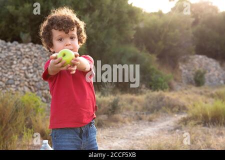 Schöne Lockenhaar Jungen auf dem Feld und in rot gekleidet, bietet einen gelben Apfel 'Spanish Pippin' Stockfoto
