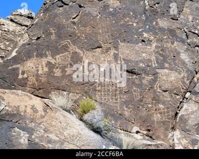 Petroglyphen in der Nevada USA Stockfoto