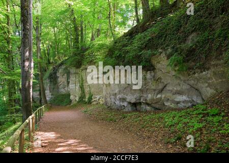 Deutschland, Baden-Württemberg, Überlingen-Hödingen, der Spetzgarter Tobel ist eine Erosionsschlucht in der Sipplinger Molasselandschaft, der Schlucht des Killb Stockfoto