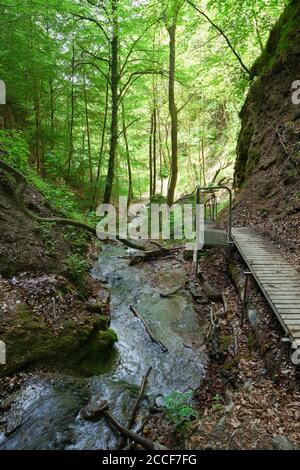 Deutschland, Baden-Württemberg, Überlingen-Hödingen, der Hödinger Tobel ist eine Erosionsschlucht im Gebiet der Überlinger Molasse Stockfoto