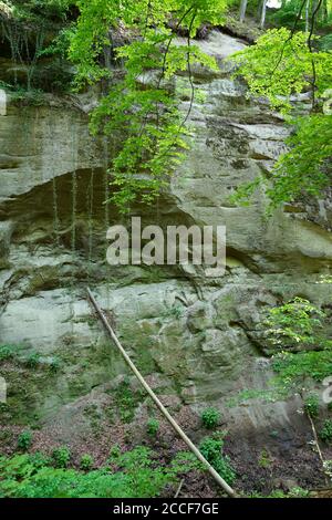 Deutschland, Baden-Württemberg, Überlingen-Hödingen, der Hödinger Tobel ist eine Erosionsschlucht im Gebiet der Überlinger Molasse Stockfoto