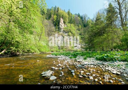 Deutschland, Baden-Württemberg, Löffingen-Bachheim, die Joseffelsen an der Wutach im Naturschutzgebiet Wutachschlucht im Breisgau-Hochschwarzwald. Stockfoto