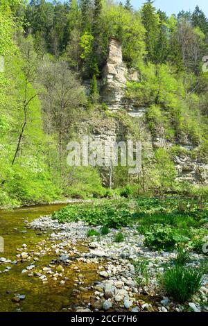 Deutschland, Baden-Württemberg, Löffingen-Bachheim, die Joseffelsen an der Wutach im Naturschutzgebiet Wutachschlucht im Breisgau-Hochschwarzwald. Stockfoto