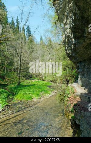 Deutschland, Baden-Württemberg, Löffingen-Bachheim, Felswand in der Gauchachklamm oberhalb der Burgmühle Stockfoto