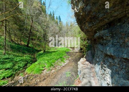 Deutschland, Baden-Württemberg, Löffingen-Bachheim, Felswand in der Gauchachklamm oberhalb der Burgmühle Stockfoto