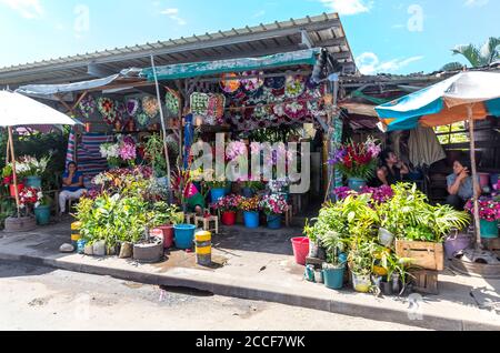 Blumenverkauf, Markt, Toamasina, Tamatave, Madagaskar, Afrika, Indischer Ozean Stockfoto