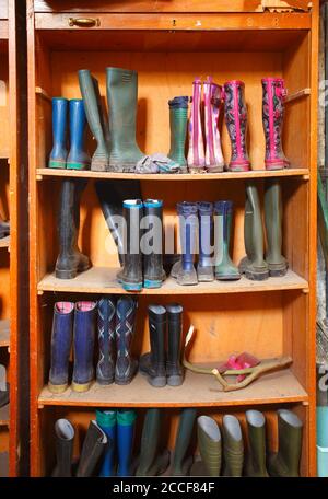 Bunte Gummistiefel im Regal, Deutschland, Europa Stockfoto