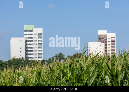 Felder und Wolkenkratzer, Osterholz-Tenever, Bremen, Deutschland, Europa Stockfoto