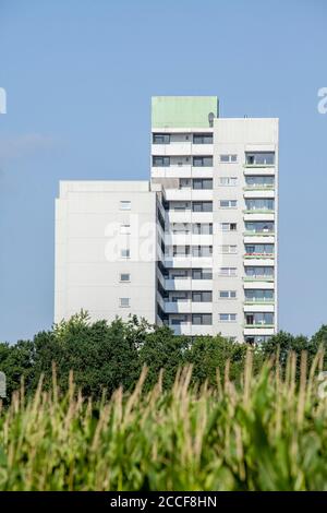 Felder und Wolkenkratzer, Osterholz-Tenever, Bremen, Deutschland, Europa Stockfoto