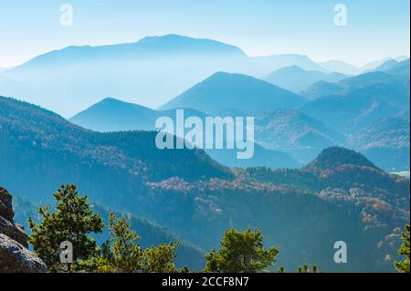 Berge, Blick auf hohe Wand, Morgenlicht, Nebel, blauer Himmel, Niederösterreich, Föhren im Vordergrund Stockfoto
