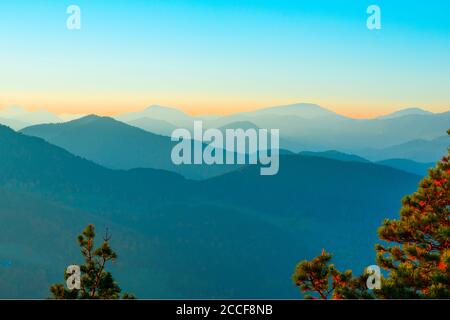 Berge, Blick von hohe Wand, Abendlicht, blauer Himmel, Niederösterreich, Föhren im Vordergrund Stockfoto