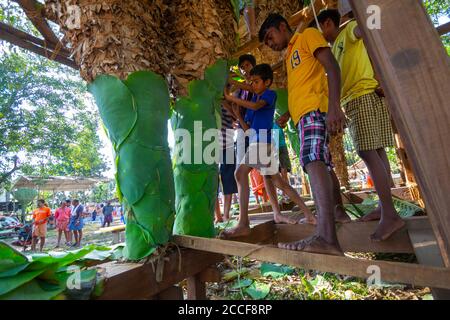 Menschen dekorieren Kolams in Tempelfest. Neelamperoor Padayani am Neelamperoor Palli Bhagavathi Tempel, Alappuzha. Stockfoto