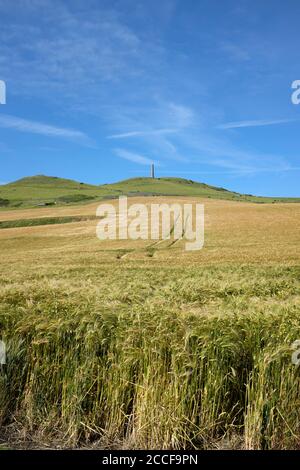 Frankreich, Opalküste, - Cap Blanc-Nez Stockfoto