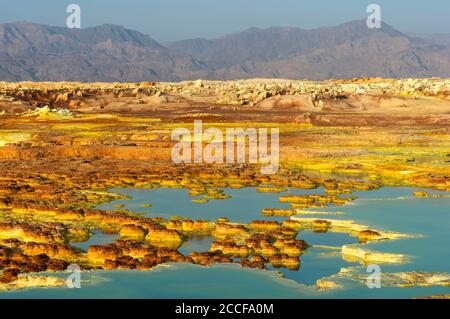 Heiße Mineralquellen, Salzbecken und Salzablagerungen, die hell von Schwefel, Eisen und halophilen Algen gefärbt sind, Dallol Geothermie Gebiet, Danakilsenke Stockfoto