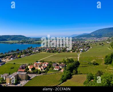 Landschaft am Bielersee, Blick auf die Stadt Le Landeron, Kanton Neuchâtel, Schweiz Stockfoto