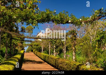 Palheiro Gärten in Funchal mit exotischen Bäumen, mehrere Themengärten, Kapelle, Madeira, Portugal Stockfoto