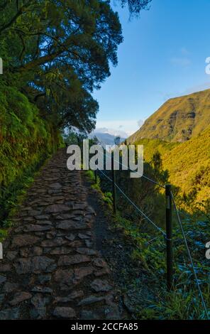 Wanderweg entlang der Levadas das 25 Fontes, Rabacal Naturschutzgebiet und UNESCO-Weltkulturerbe, Madeira, Portugal Stockfoto