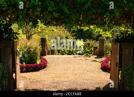 Palheiro Gärten in Funchal mit exotischen Bäumen, mehrere Themengärten, Kapelle, Madeira, Portugal Stockfoto