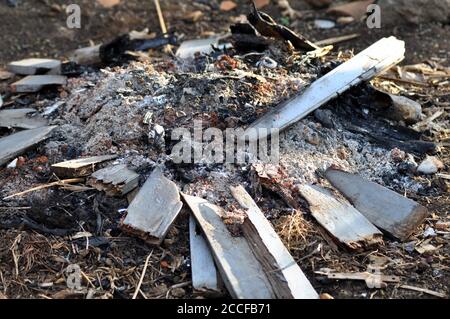 Esche Brennholz und Holzkohle werden nach dem Brennen im Freien gekühlt Stockfoto