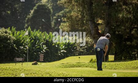 Eine Person, die auf einem Gras bedeckten Feld steht. Hochwertige Fotos Stockfoto