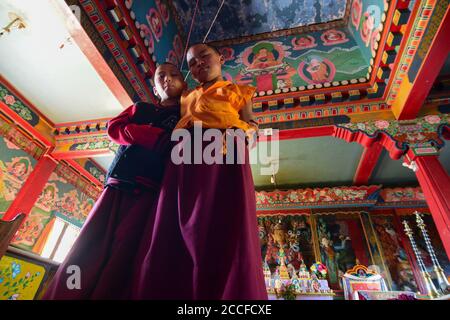 Rinchenpong, Sikkim, Indien - 17. Oktober 2016 : zwei junge Lamas beobachten Fotografen im Gebetsraum im Rinchenpong Kloster. Stockfoto