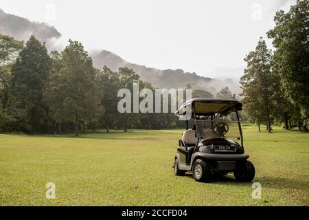 Golfauto auf einem grünen Feld. Bali. Indonesien Stockfoto