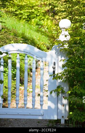Weiße Holzgartentür im privaten Garten Stockfoto