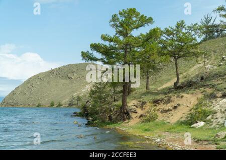 Schönes Ufer des Sees mit Hügeln und Bäumen. Konzept der Reise. Der Baikalsee ist der größte Süßwassersee der Welt Stockfoto
