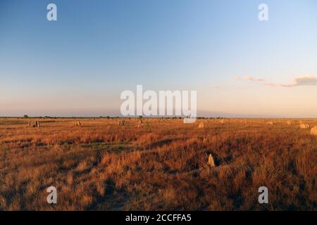 Termitenhügel auf Nifold Plains, Lakefield National Park, Cape York Peninsula, Queensland, Australien Stockfoto