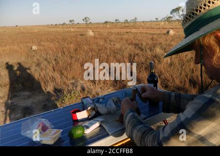 Einrichtung von Snacks auf dem Dach von 4WD, Nifold Plains, Lakefield National Park, Cape York Peninsula, Queensland, Australien. Kein MR oder PR Stockfoto