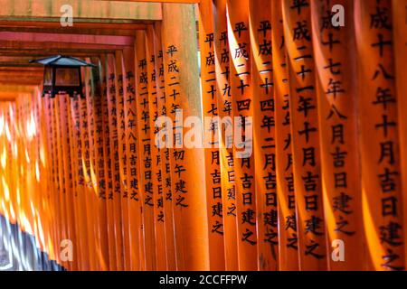 Kanji-Zeichen auf den roten Torii-Toren bei Fushimi geschrieben Inari Stockfoto