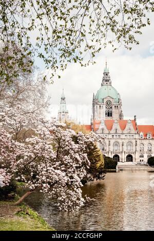 Frühling im Neuen Rathaus in Hannover, Niedersachsen, Deutschland Stockfoto