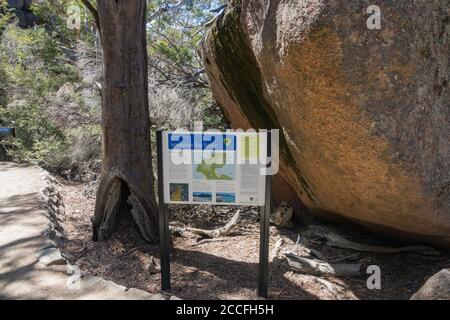 Melden Sie sich am Wineglass Bay Lookout im Freycinet National Park, Tasmanien, Australien an Stockfoto