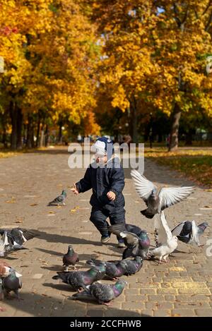 Kleiner Junge in Overalls und ein lustiger Hut läuft unter Tauben Weizen im Park im Herbst. Stockfoto