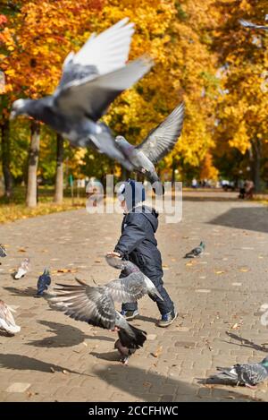 Kleiner Junge in Overalls und ein lustiger Hut läuft unter Tauben Weizen im Park im Herbst. Stockfoto