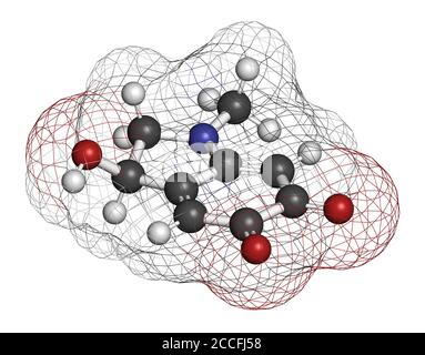 Adrenochrome Molekül. Oxidationsprodukt von Adrenalin. 3D-Rendering. Atome werden als Kugeln mit herkömmlicher Farbkodierung dargestellt: Wasserstoff (weiß Stockfoto