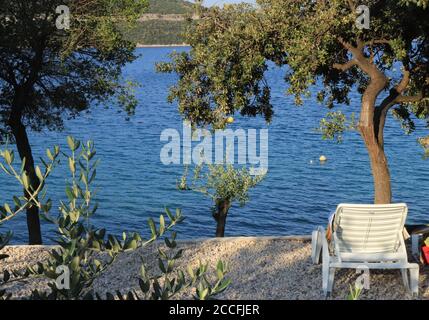 Ein weißer Liegestuhl unter einem Olivenbaum am Blue Sea Shore Stockfoto