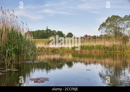 Deutschland, Mecklenburg-Vorpommern, Vorpommern, Recknitz, Pantlitz, Landschaft, Fluss Stockfoto