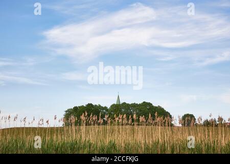 Deutschland, Mecklenburg-Vorpommern, Vorpommern, Recknitz, Pantlitz, Kirchturm Stockfoto