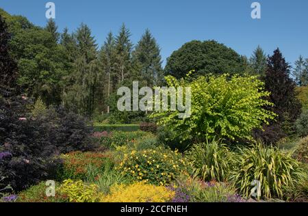 Traditionelle Sommer Krautigen Grenzen im Hot Garden in Rosemoor mit einem hellen blauen Himmel Hintergrund in Rural Devon, England, Großbritannien Stockfoto