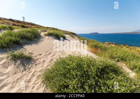 Sanddünen auf der Halbinsel Elafonisi am Strand Elafonissi mit rosa Sand, südwestlich von Kreta, Griechenland Stockfoto