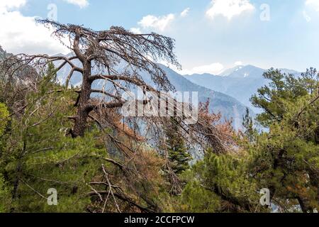 Blick vom Ausgangspunkt der Samaria Gorge Wanderung, Westkreta, Griechenland Stockfoto