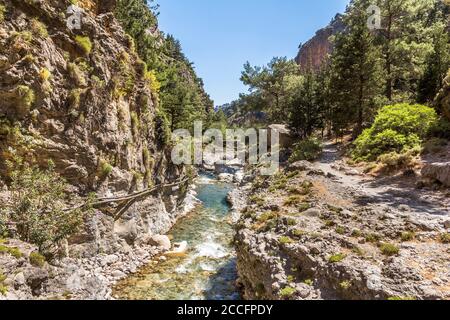 Wanderweg am Fluss in Samaria Gorge, Westkreta, Griechenland Stockfoto