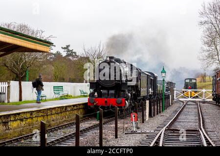 Ex-USA S160 Dampflok 6046 durch Washford Station mit einem Güterzug, West Somerset Railway Spring Gala, England, UK Stockfoto