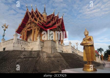 Goldener Buddha steht mit einer Almosenschale im Wat Pa Phu Hai Long in der Provinz Nakhon Ratchasima im Nordosten Thailands. Stockfoto