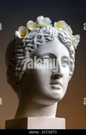 Gipsstatue des Venuskopfes. Statue. Renaissance-Epoche. Gipskopie der alten Statue Venuskopf isoliert auf schwarzem Hintergrund. Gipsskulptur Frau Stockfoto